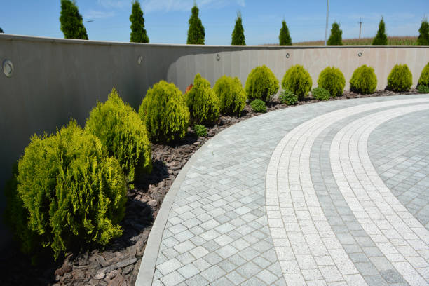 Reasons to Select Us for Your Driveway Paving Requirements in Three Rivers, OR